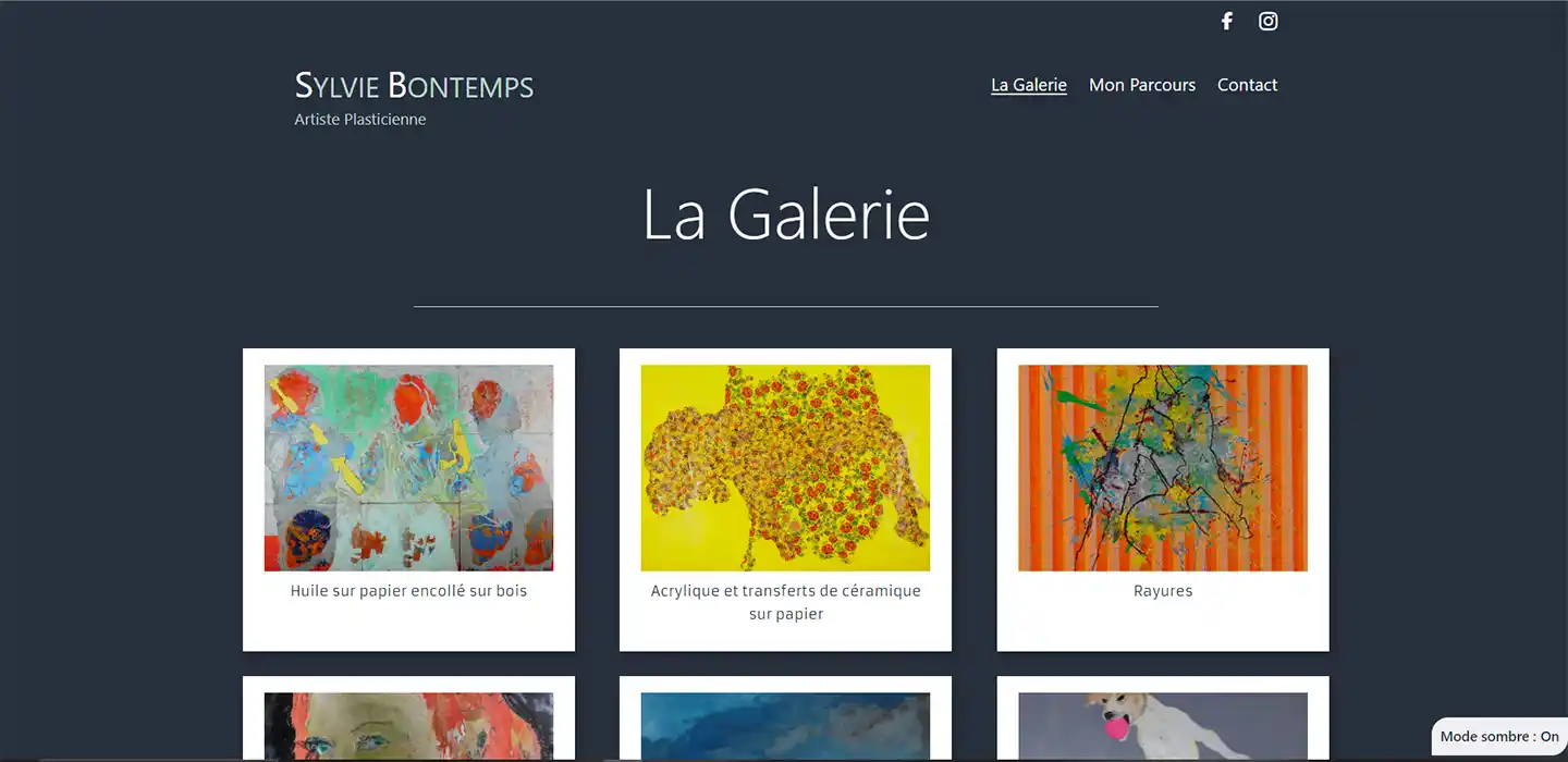 Sylvie Bontemps Artiste Plasticienne